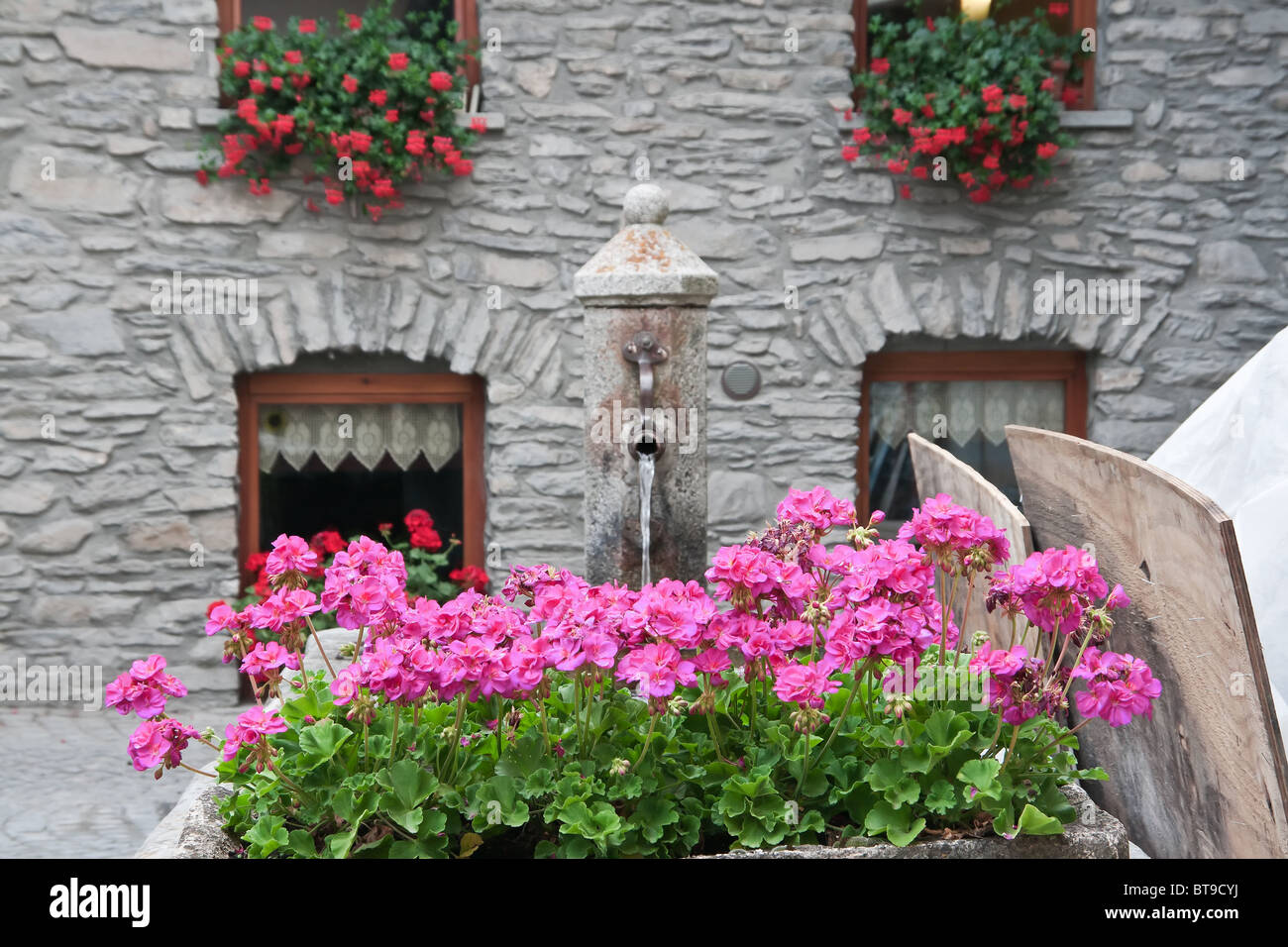 geranium flowers and a public fountain in Verrand, Courmayeur, Italy ...