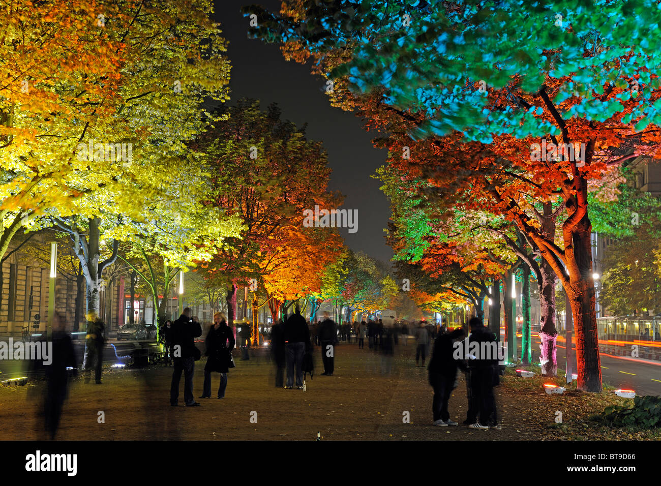 Colorfully illuminated linden trees, Unter den Linden avenue, Festival