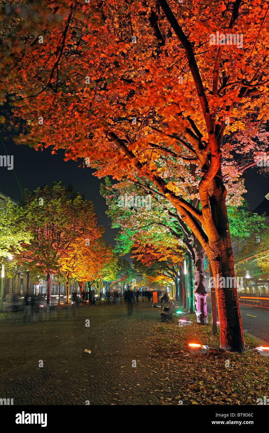 Colorfully illuminated linden trees, Unter den Linden avenue, Festival of Lights 2009, Berlin, Germany, Europe Stock Photo