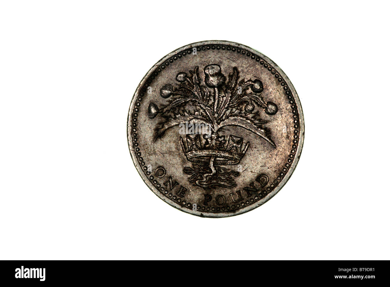 Pound coin design Scotland Stock Photo