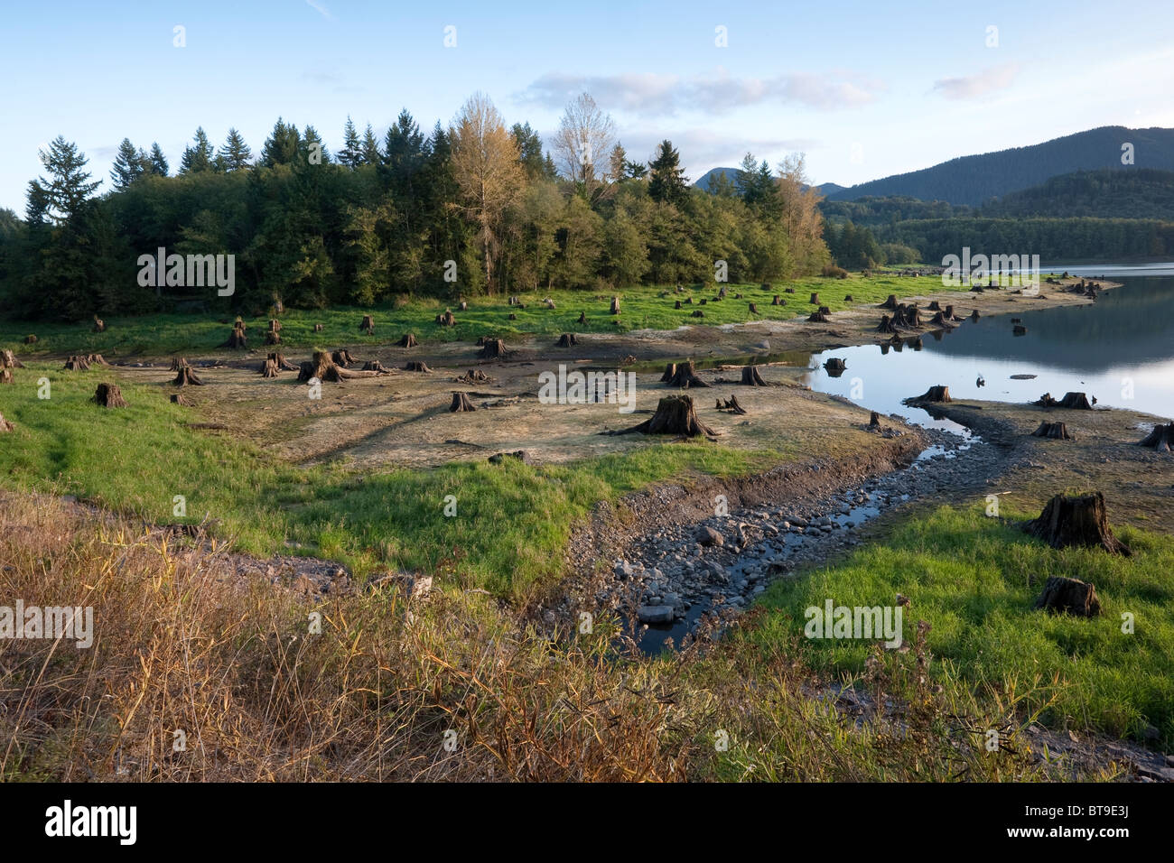 Alder lake reservoir hires stock photography and images Alamy