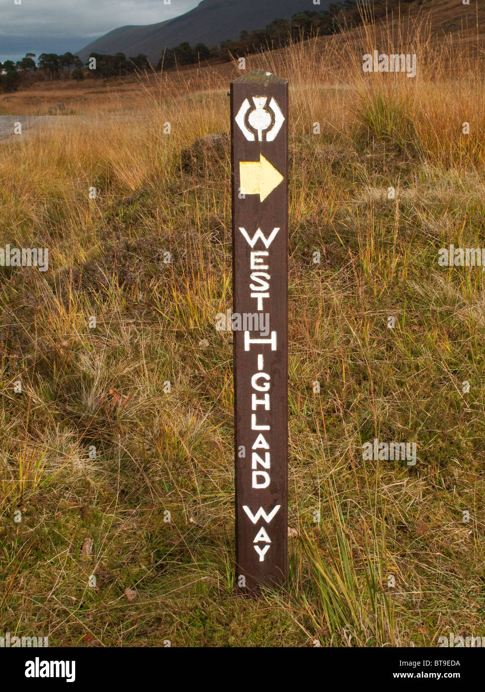 Directional Waymarker Hi res Stock Photography And Images Alamy