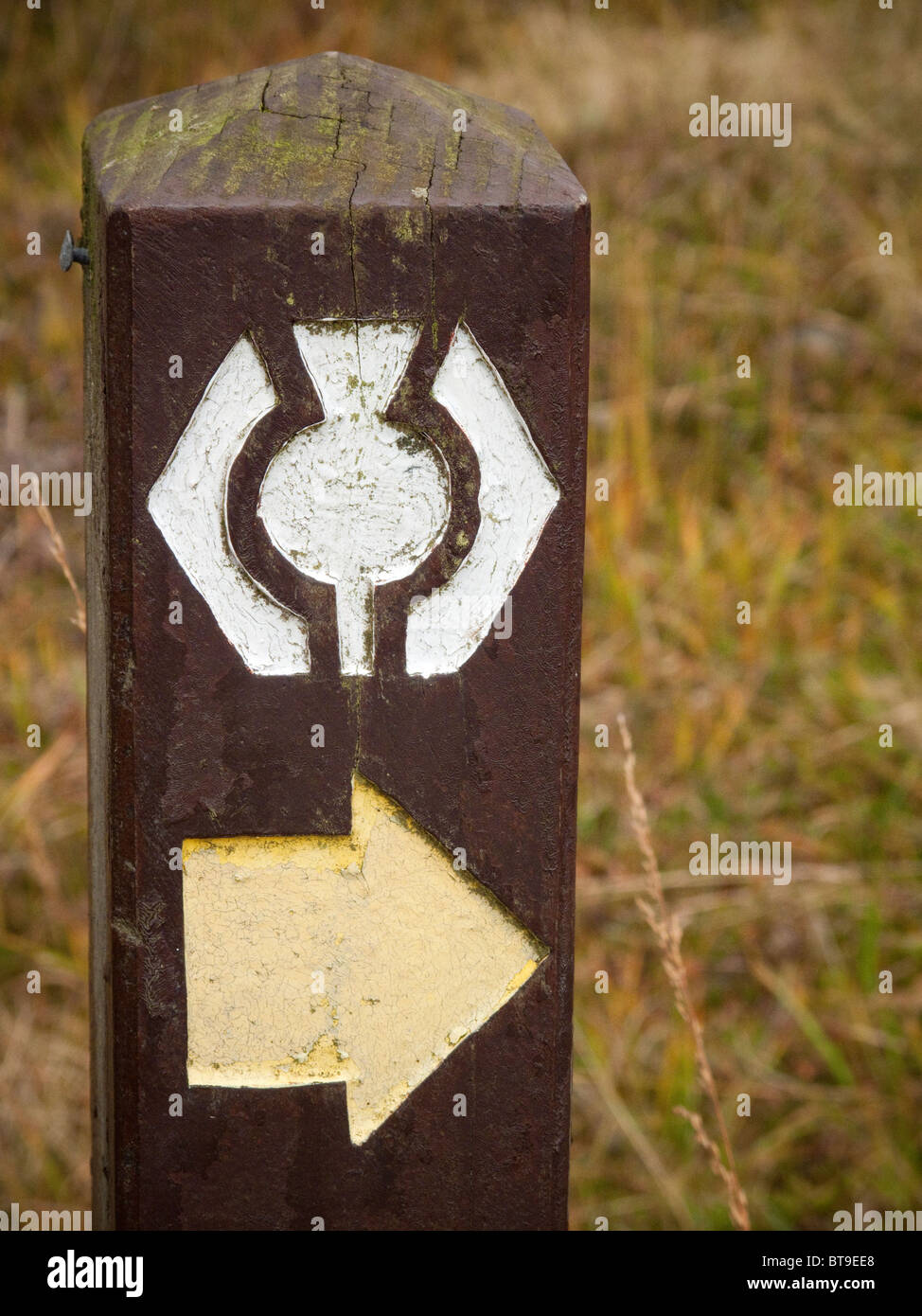 West Highland Way, finger post directional footpath sign way mark marker  arrow thistle logo Scotland UK Stock Photo - Alamy