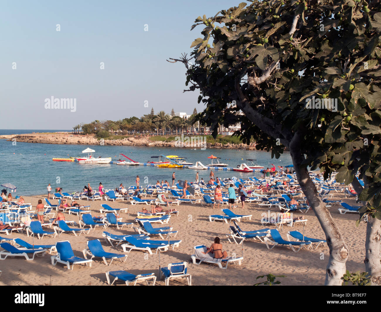 Fig Tree Bay, Protaras, Cyprus Stock Photo