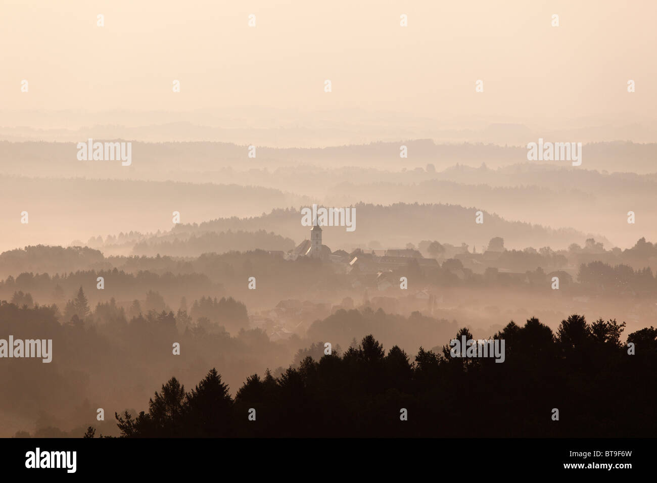 Morning mist, St. Stefan ob Stainz, Schilcher wine route, Styria, Austria, Europe Stock Photo