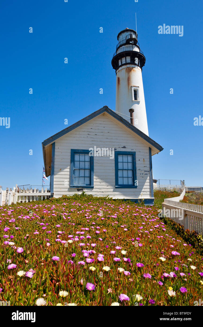 Pigeon Point Light Station or Pigeon Point Lighthouse, behind a meadow of Highway Ice Plant, Pigface or Hottentot Fig Stock Photo