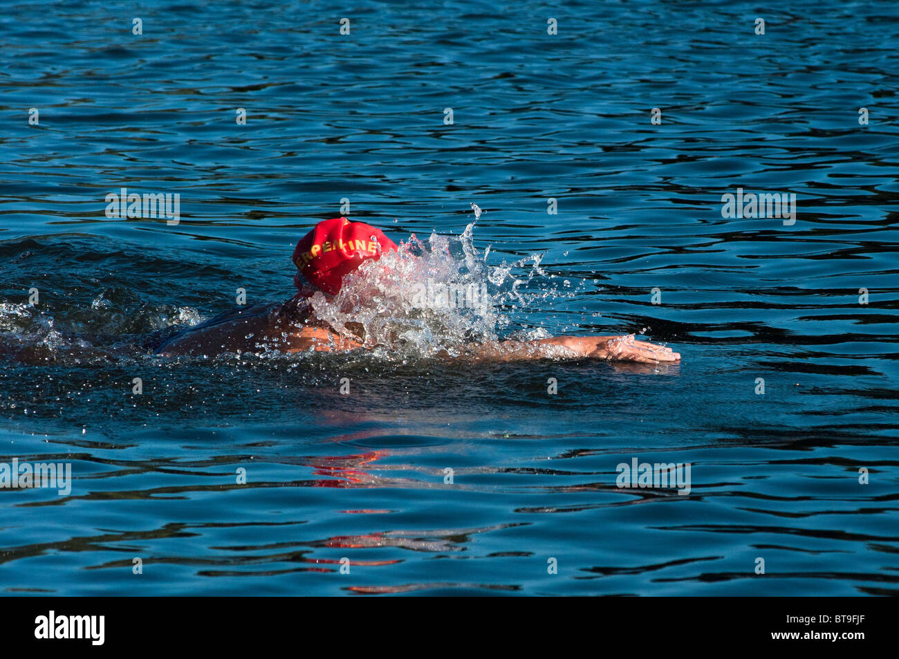Swimmer seen in the Serpentine in Hyde park with the club's cap on. London, UK Stock Photo