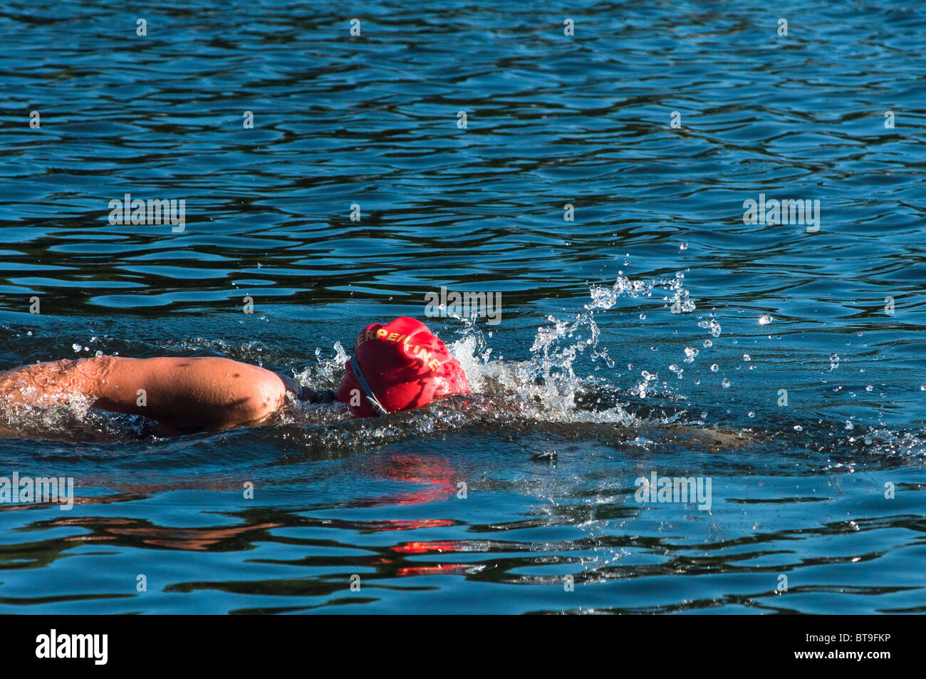Swimmer seen in the Serpentine in Hyde park with the club's cap on. Stock Photo