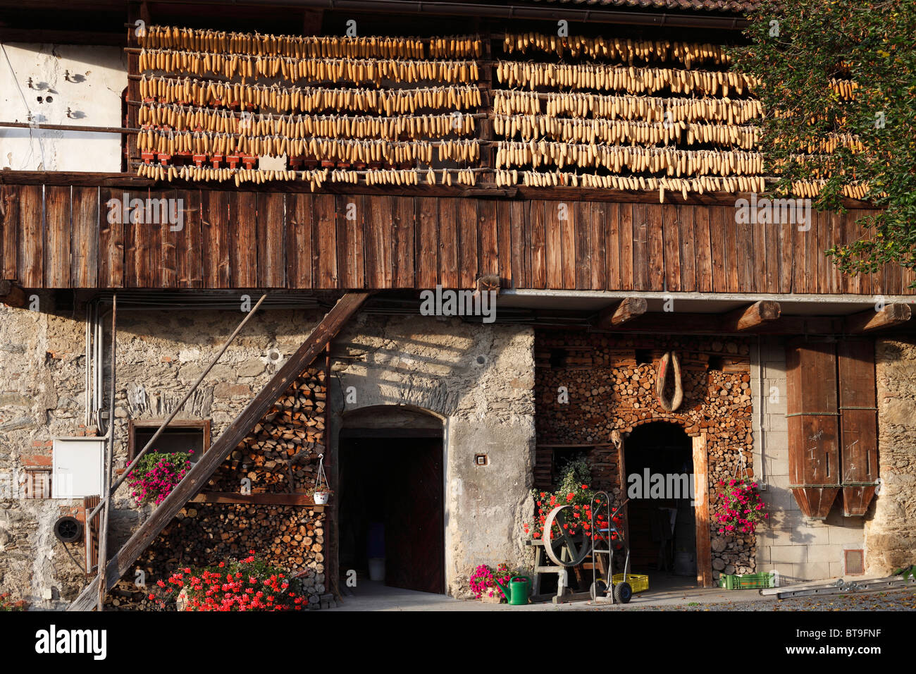 Old Liendl farm, suspended corn, Keutschach am See, Carinthia, Austria, Europe Stock Photo
