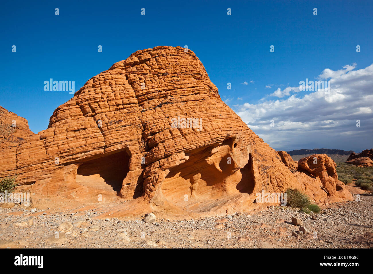 Beehives, sandstone formation, Valley of Fire State Park, Nevada, USA Stock Photo