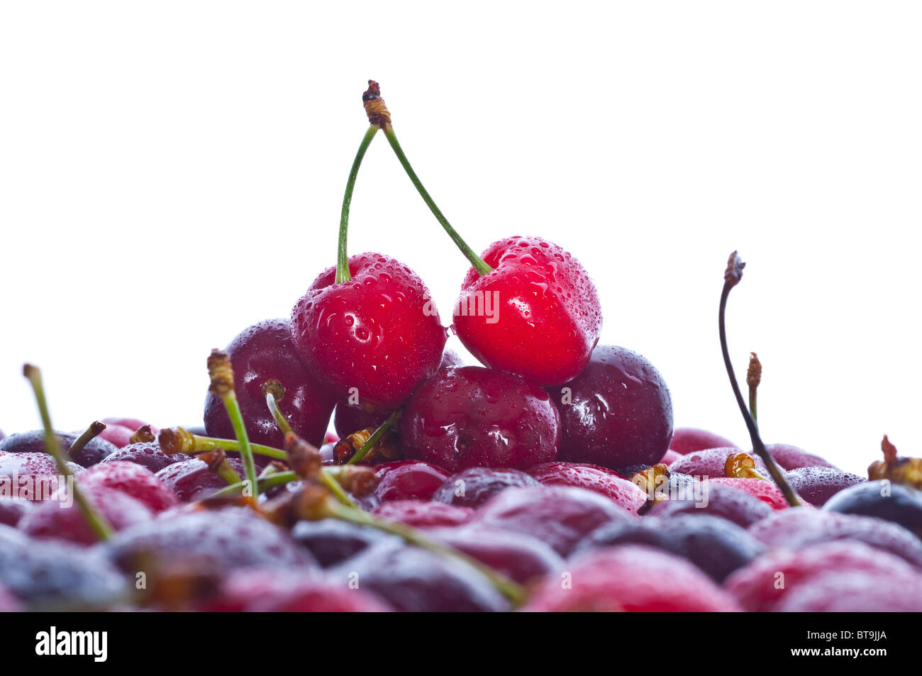 Juicy stalk hi-res stock photography and images - Alamy