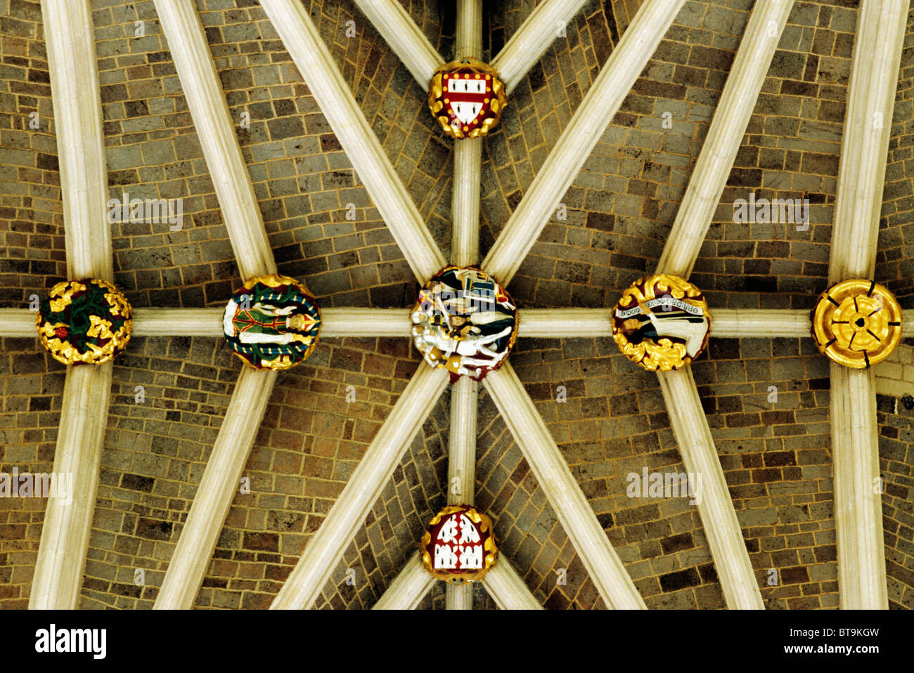 Exeter Cathedral nave roof bosses and vault Devon England UK English medieval cathedrals boss rib ribs interior interiors vaults Stock Photo