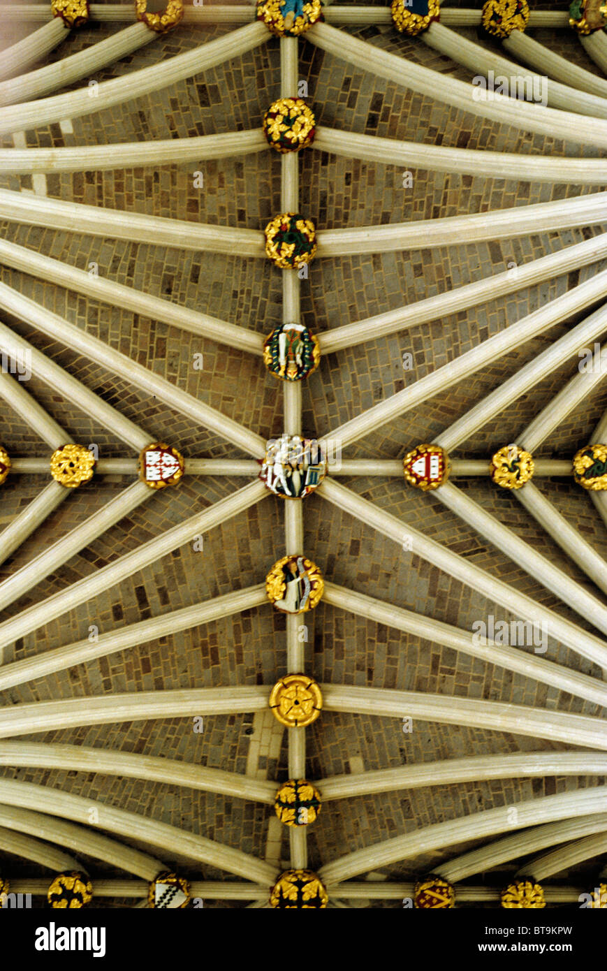 England UK English medieval cathedrals boss rib ribs interior interiors vaults Exeter Cathedral nave roof bosses and vault Devon Stock Photo