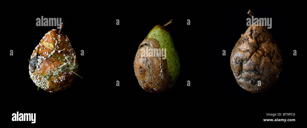 Rotting Pears High Resolution Stock Photography and Images - Alamy