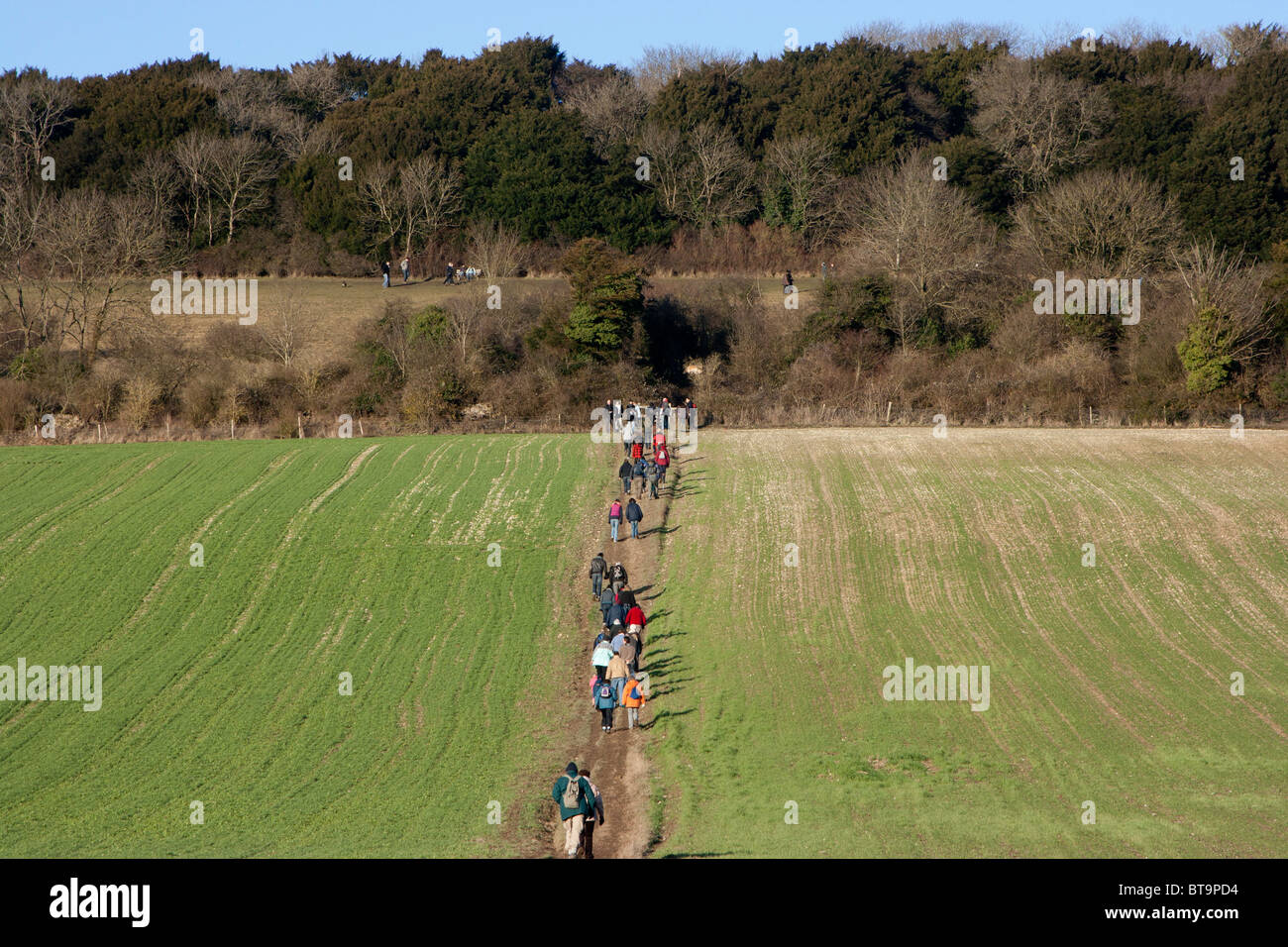 Walkers at Newlands Corner near Guildford Surrey Stock Photo Alamy