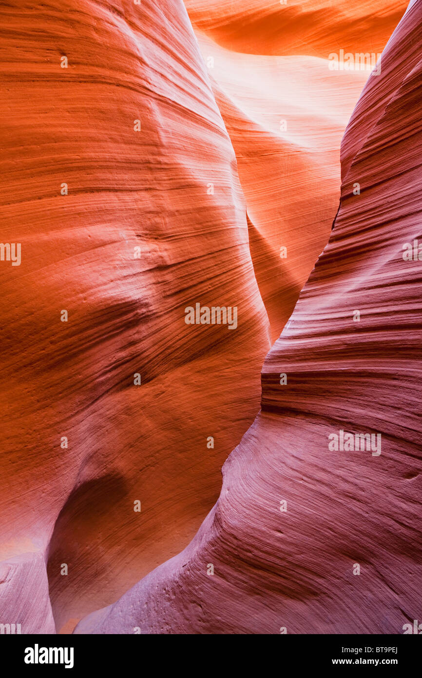 Lower Antelope Canyon, Slot Canyon, Page, Arizona, USA Stock Photo