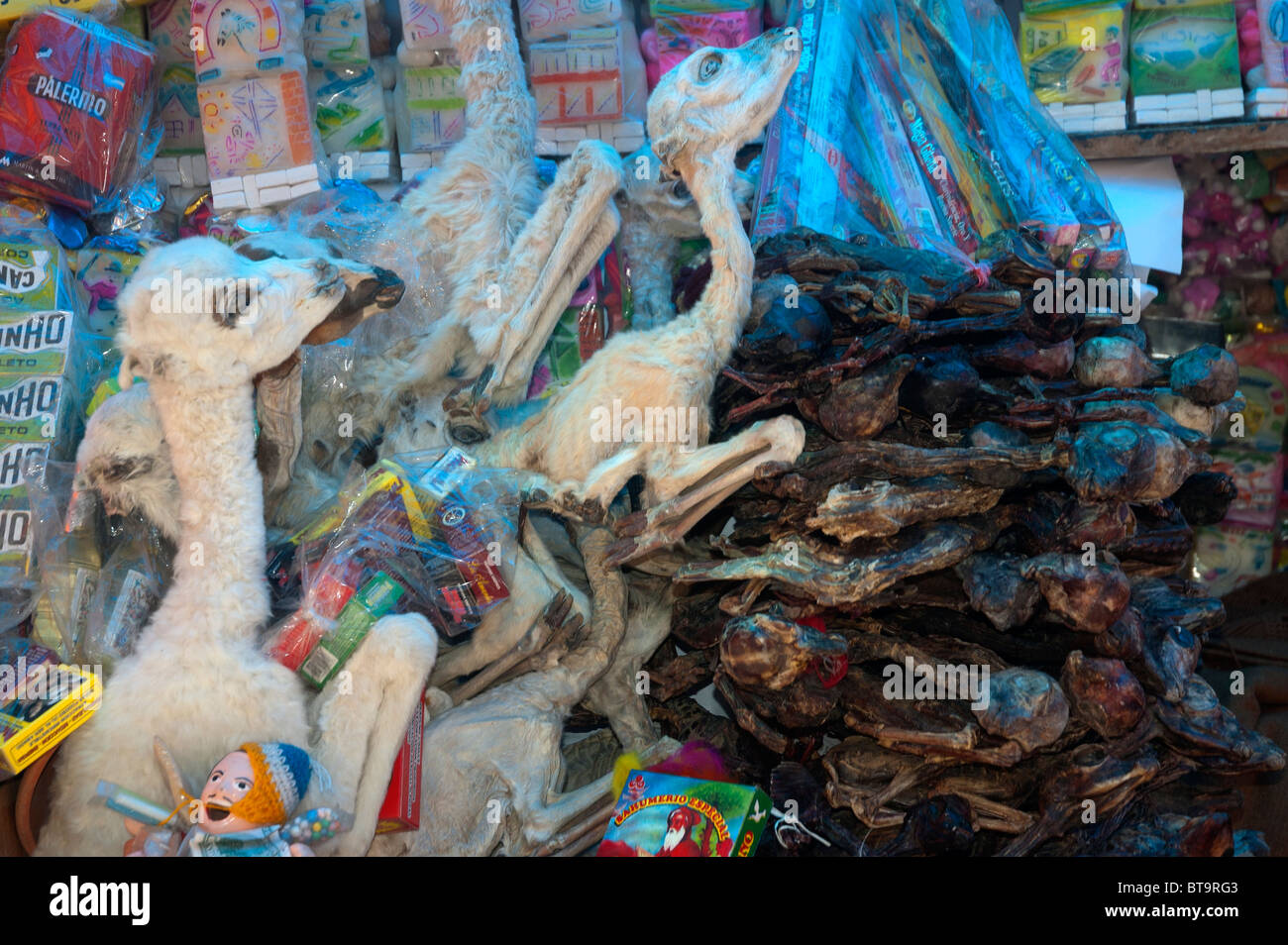Aborted Llama fetus for sale as talisman, amulet, magic, ritual and traditional medicine in the Witches Market, La Paz, Bolivia. Stock Photo
