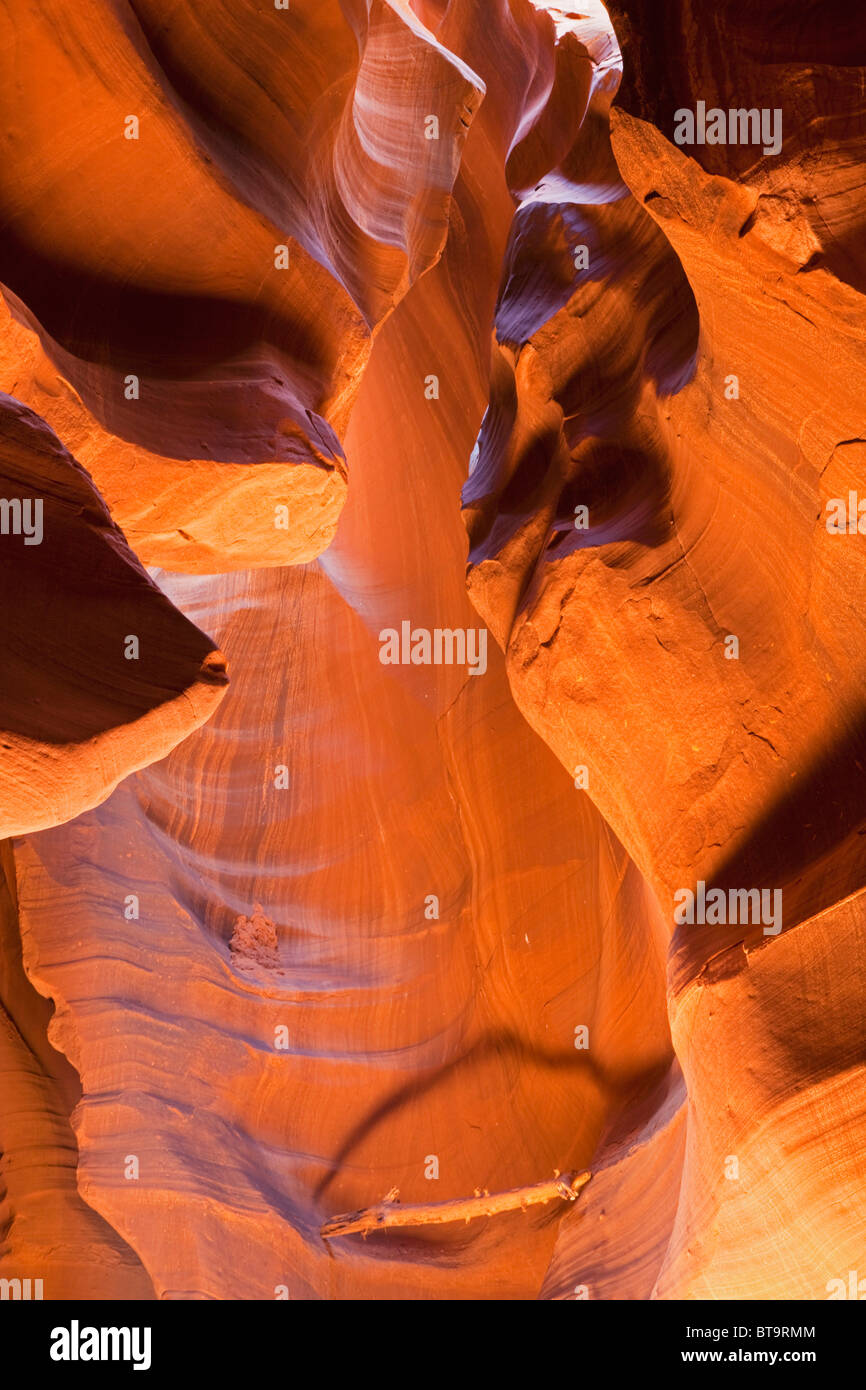 Upper Antelope Canyon, Slot Canyon, Page, Arizona, USA Stock Photo