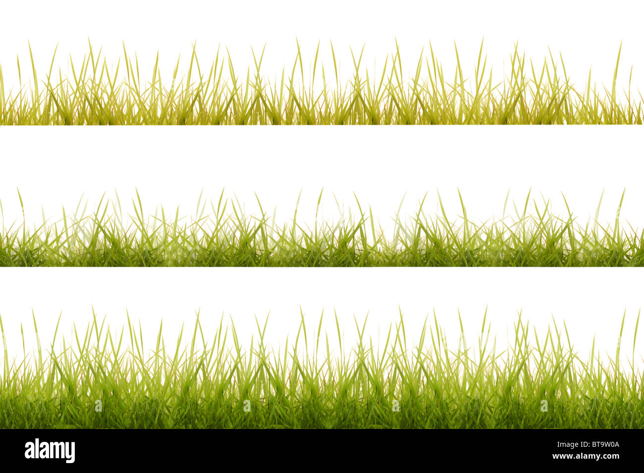 Three grass borders on isolated white background Stock Photo