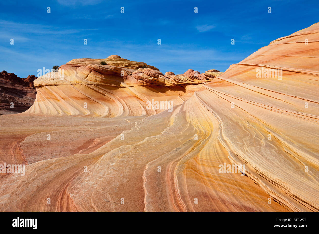 Second Wave, rock formation in Coyote Buttes North, Paria Canyon-Vermilion Cliffs Wilderness, Utah, Arizona, USA Stock Photo