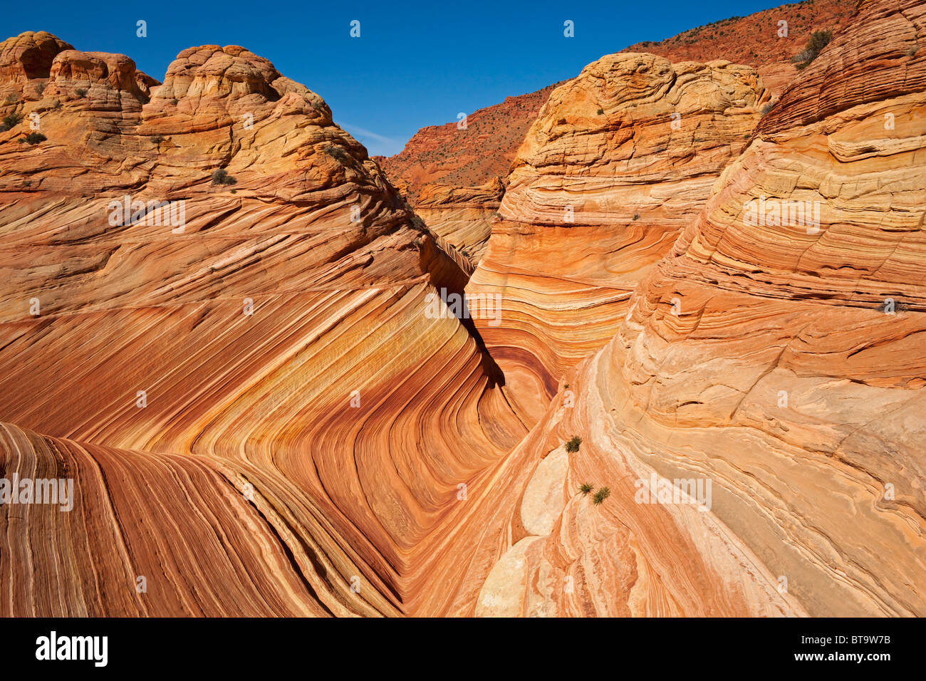 The Wave, rock formation in Coyote Buttes North, Paria Canyon-Vermilion Cliffs Wilderness, Utah, Arizona, USA Stock Photo