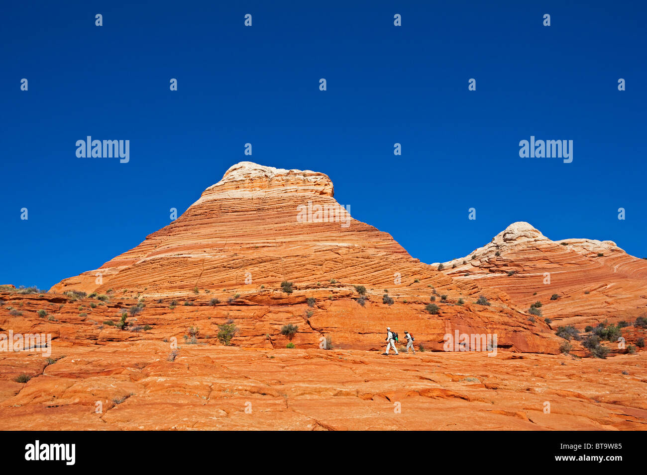 Hikers in Coyote Buttes North, Paria Canyon-Vermilion Cliffs Wilderness, Utah, Arizona, America, United States Stock Photo