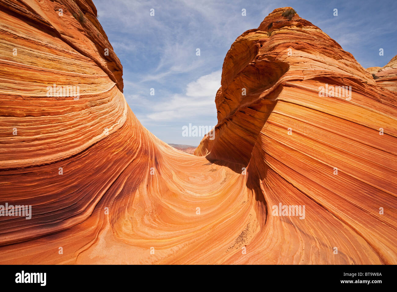 Stone Wave, rock formation in Coyote Buttes North, Paria Canyon-Vermilion Cliffs Wilderness, Utah, Arizona, USA Stock Photo