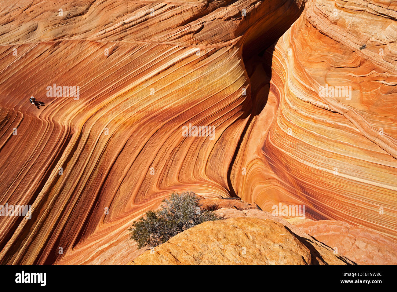 The Wave, rock formation in Coyote Buttes North, Paria Canyon-Vermilion Cliffs Wilderness, Utah, Arizona, USA Stock Photo