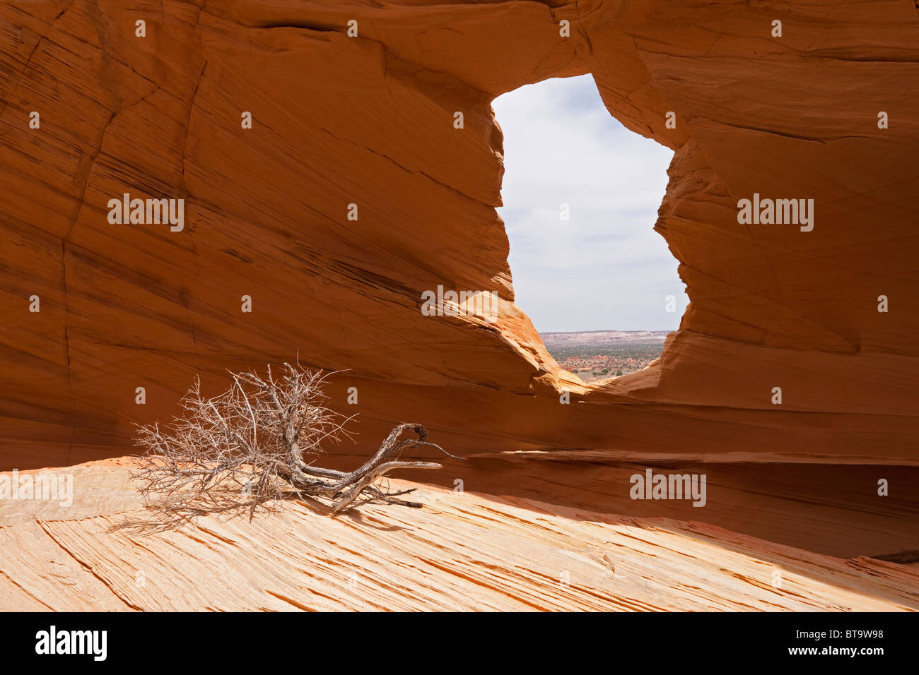 Melody Arch, Coyote Buttes North, Paria Canyon-Vermilion Cliffs Wilderness, Utah, Arizona, USA Stock Photo