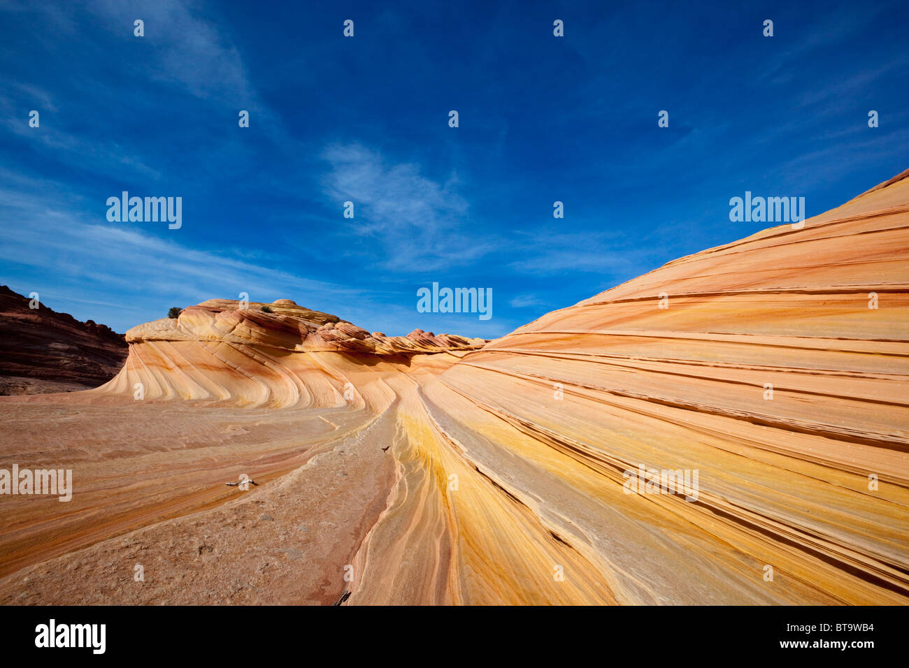 Second Wave, rock formation in Coyote Buttes North, Paria Canyon-Vermilion Cliffs Wilderness, Utah, Arizona, USA Stock Photo