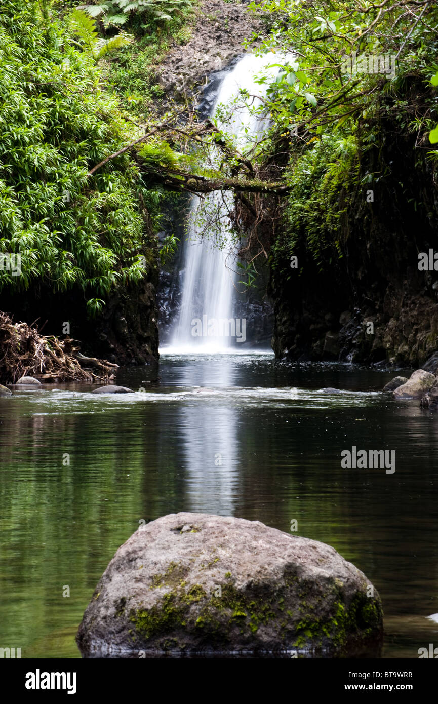 Wainibau waterfall, Taveuni, Fiji Stock Photo