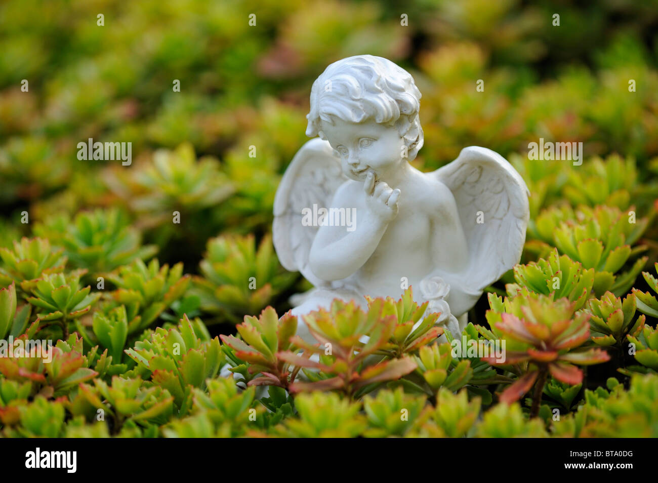 Angel figure as a garden decoration between rockery plants Stock Photo