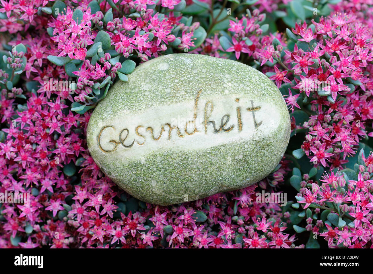 Stone with the word 'Gesundheit', 'health' as a garden decoration in a flower bed Stock Photo