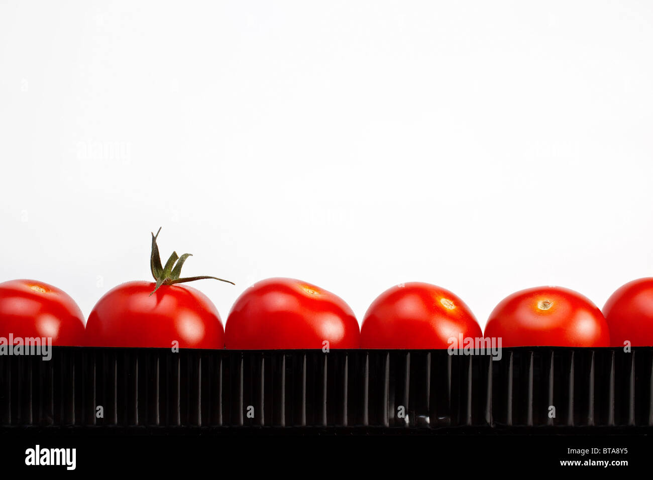 Tomatoes in packaging Stock Photo