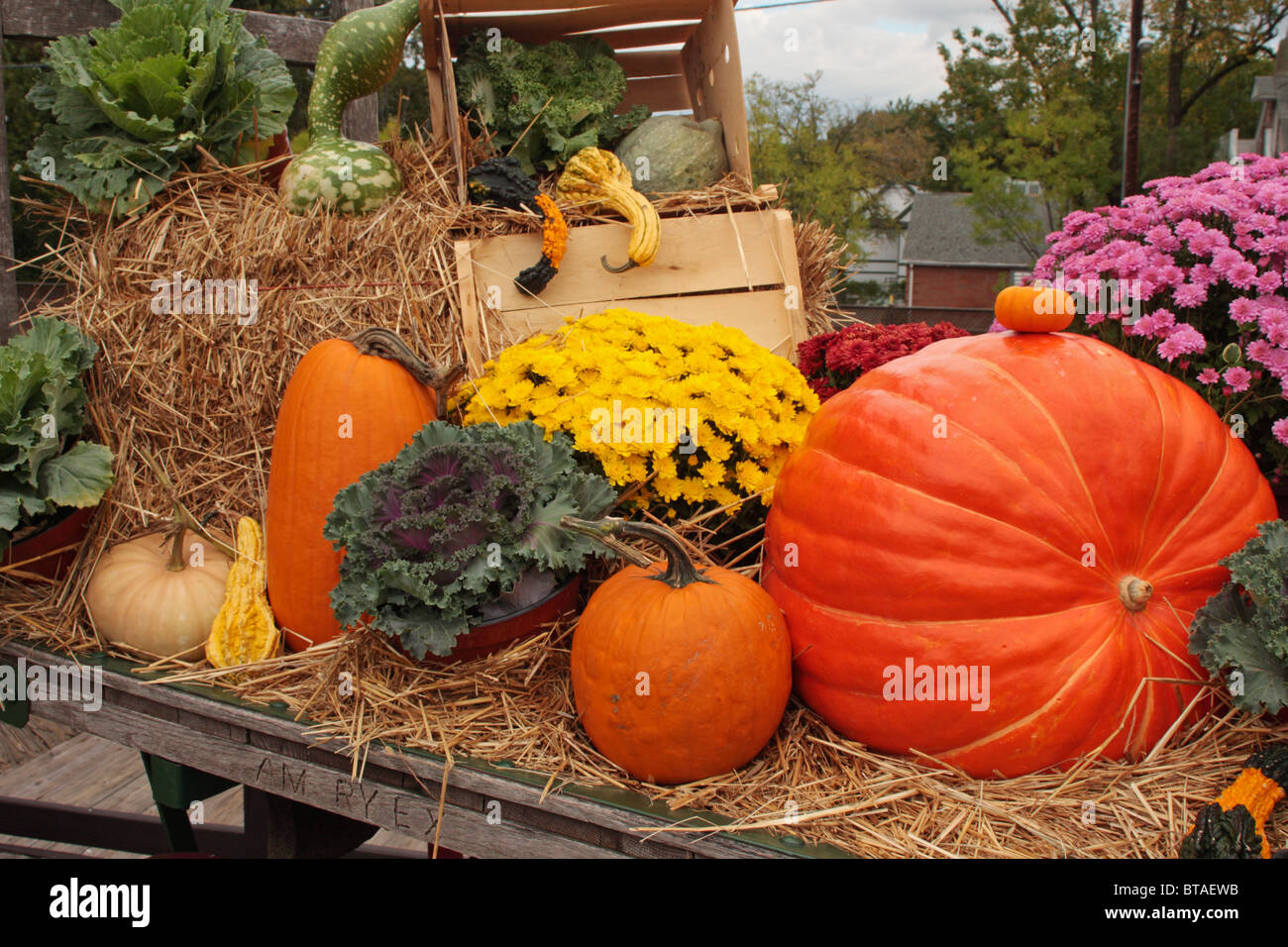 Pumpkin and Squashes displayed on a farm cart Stock Photo