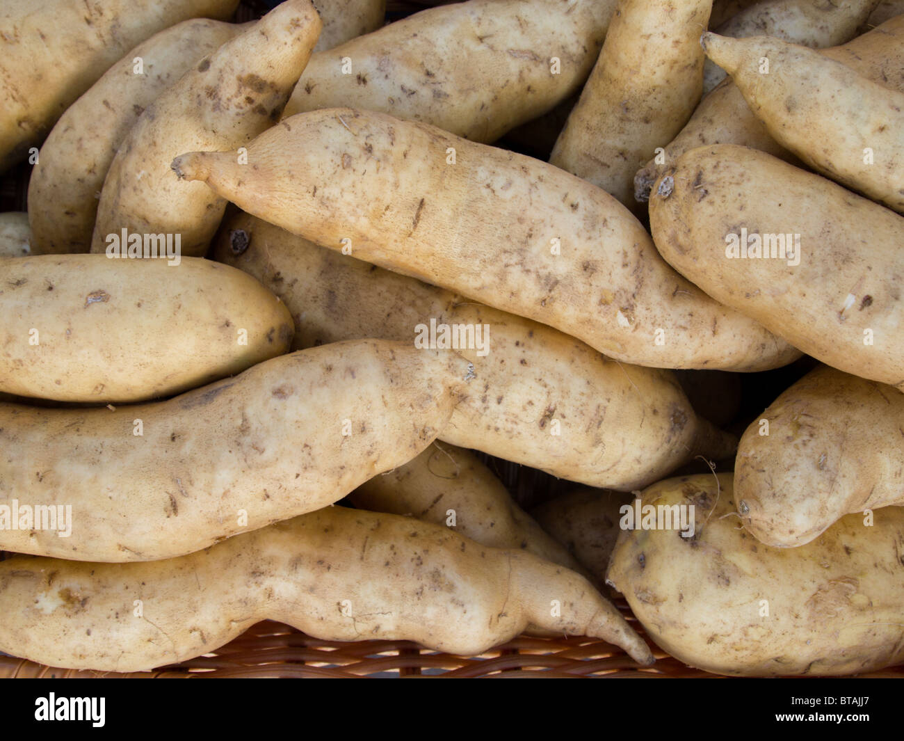 jersey new potatoes