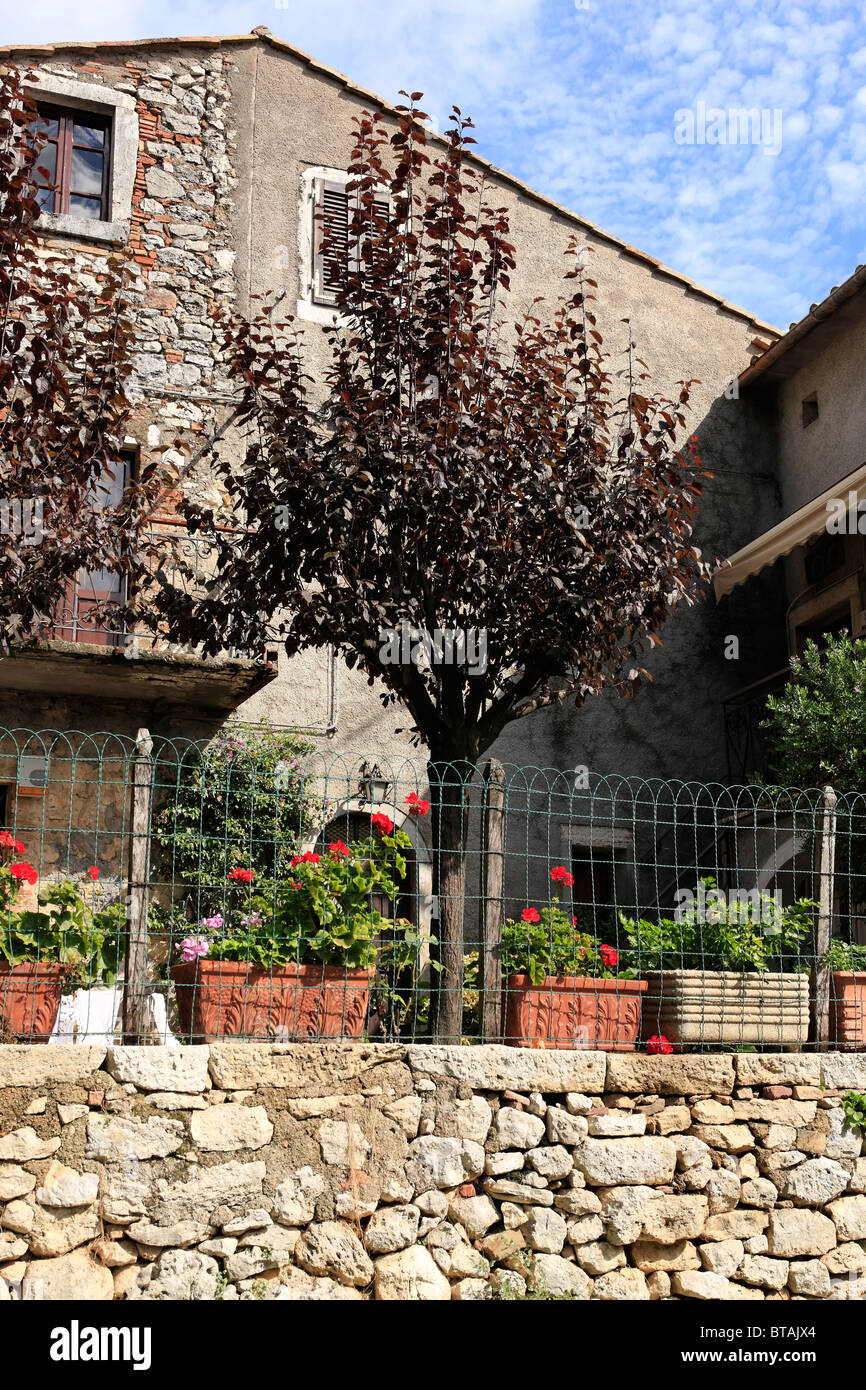 townhouse with small garden, trees, flower pots and stone wall in Saturnia, Province Grosseto,Tuscany, Italy Stock Photo