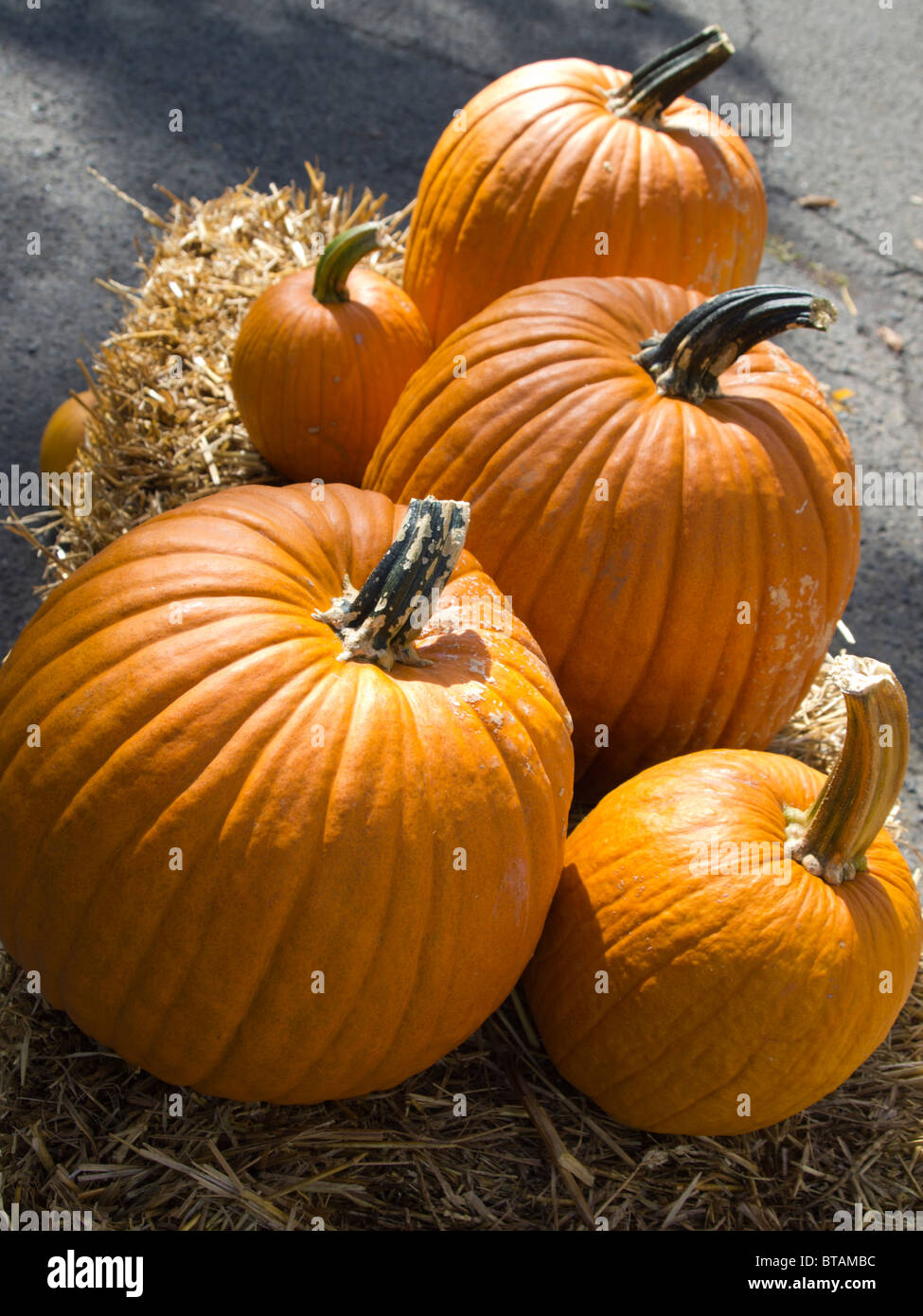 Pumpkins at a farmer's market Stock Photo - Alamy
