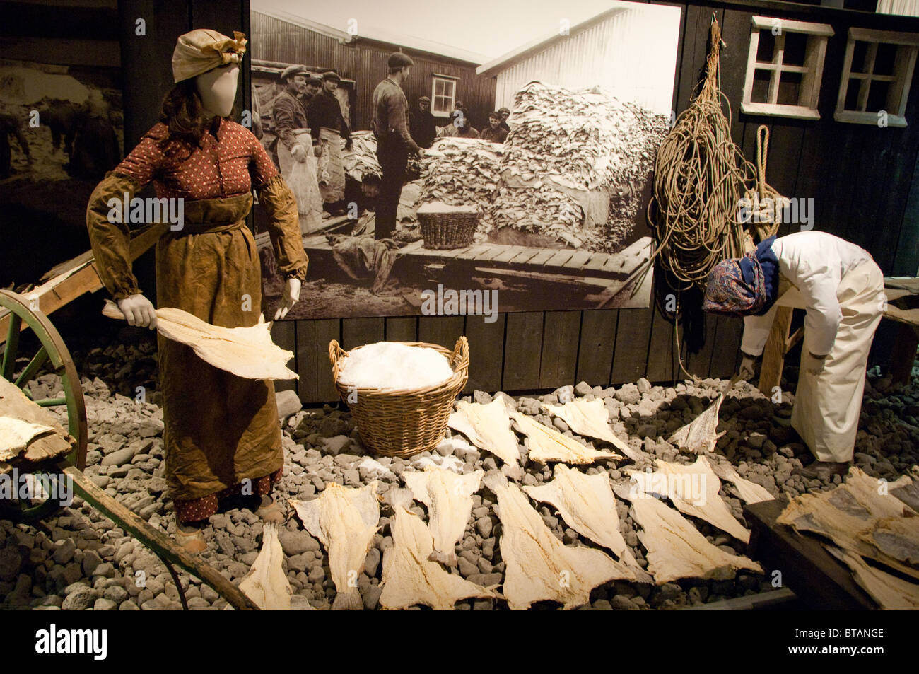 Salted cod historic hires stock photography and images Alamy