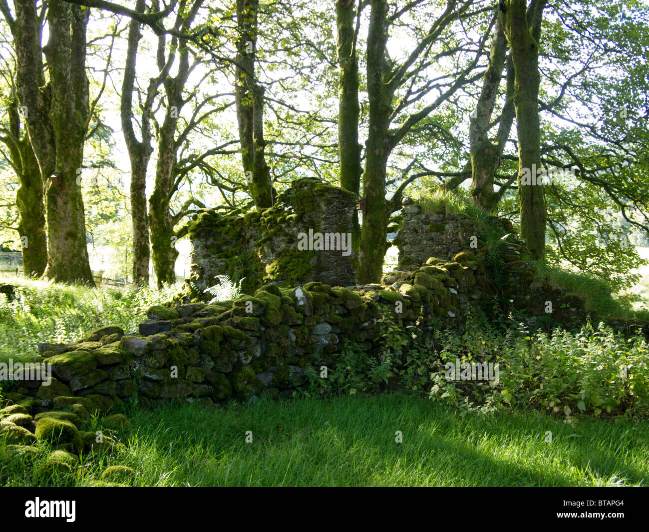 Remains of St. Fillan's Chapel, Tyndrum, Scotland Stock Photo