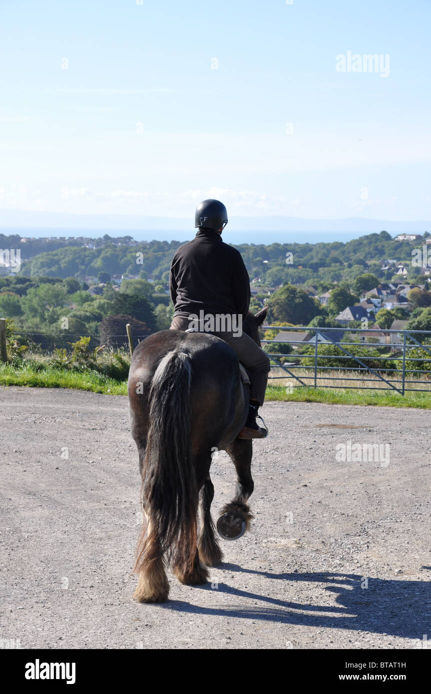 Single horse rider on horse at Clyne Farm Mayals Swansea Wales Stock Photo
