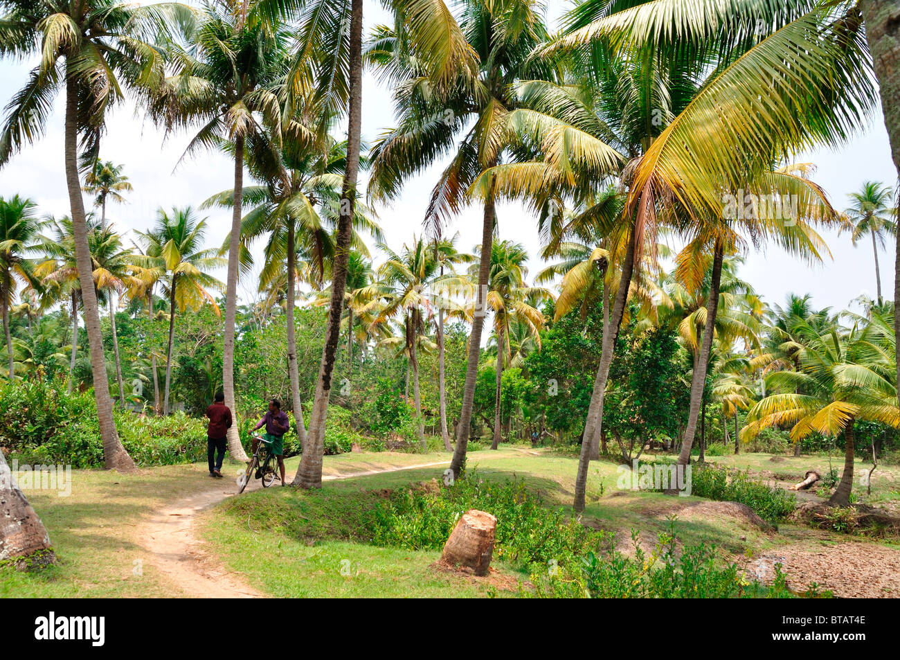 India agricultural hi-res stock photography and images - Alamy