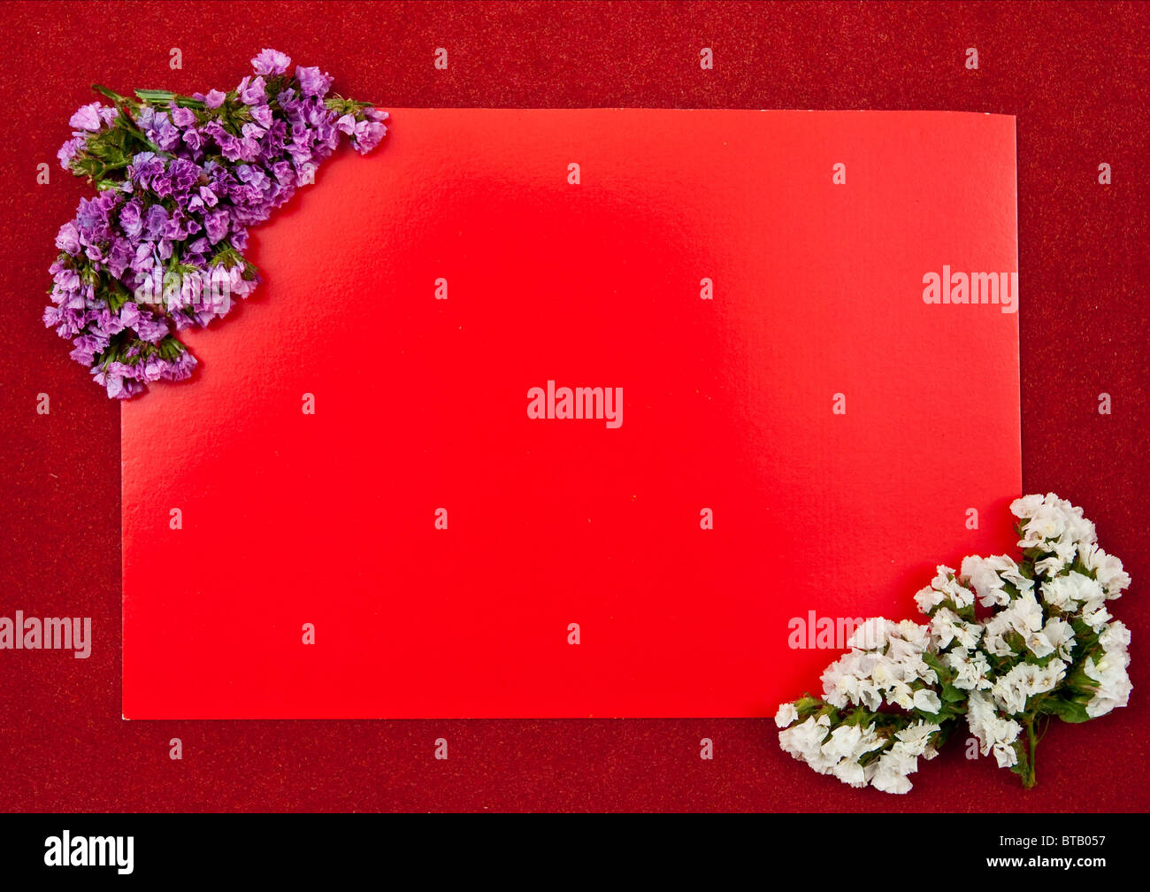 greeting card Stock Photo Alamy