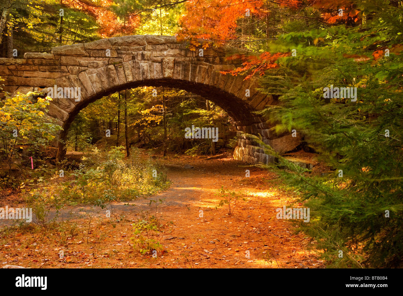 Stone Bridge - part of the Carriage Roads system built by John D. Rockefeller throughout  Acadia National Park, Maine, USA Stock Photo
