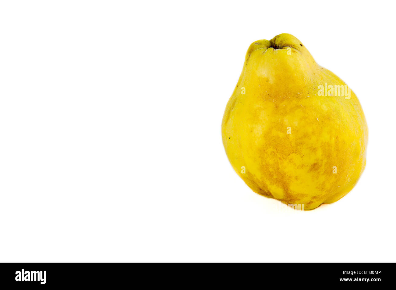 Quince isolated on white background. Stock Photo