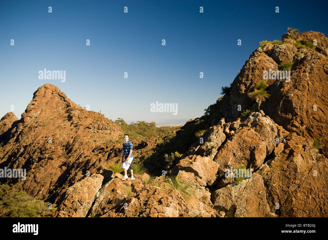 A man walks along the ridgline of red and orange coloured mountains in Mt Kaputar National Park, Australia. Stock Photo