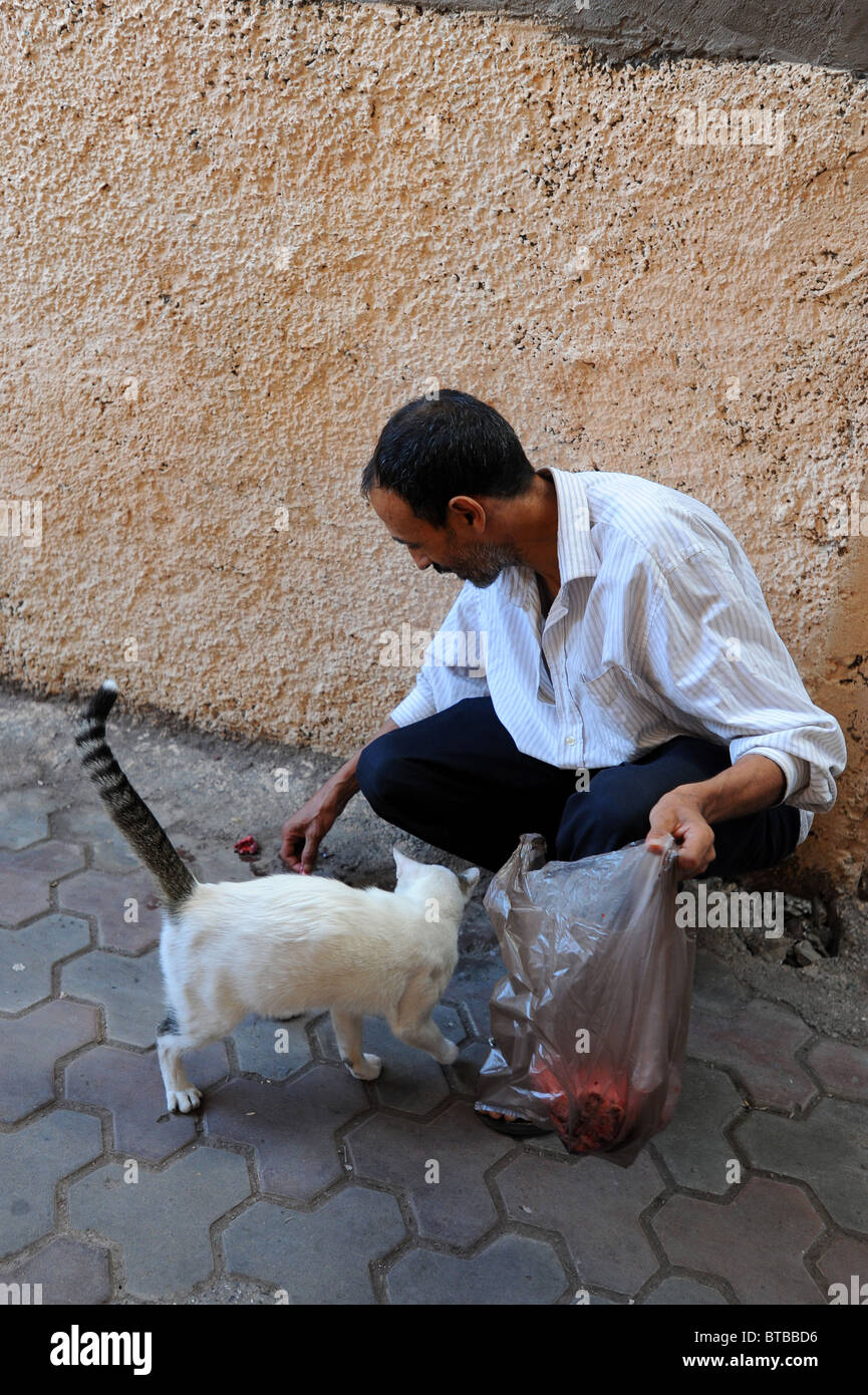 Man feeding white cat with stripy tail in Djamaa El Fna in Marrakech Stock Photo