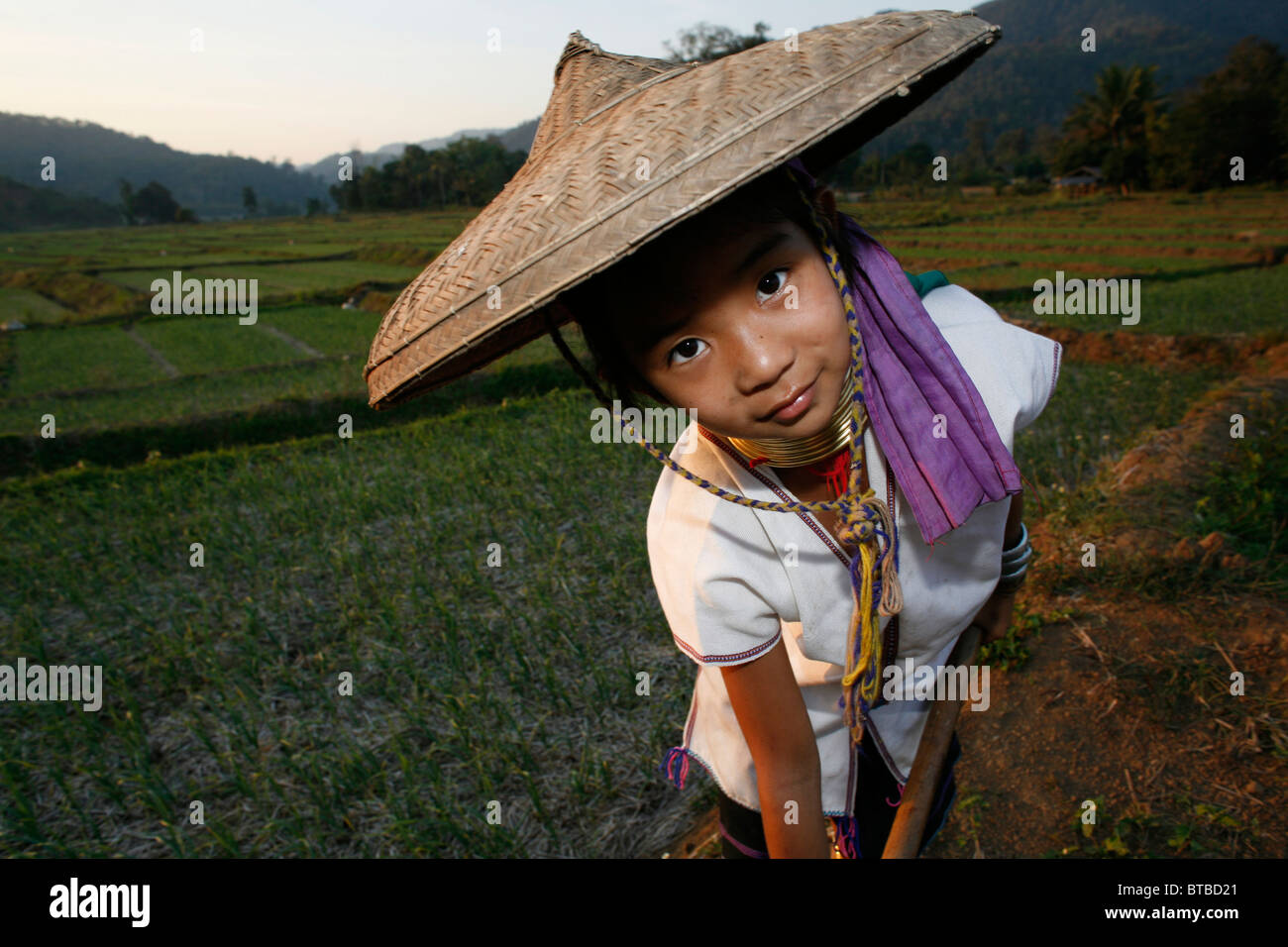 agriculture in Thailand Stock Photo