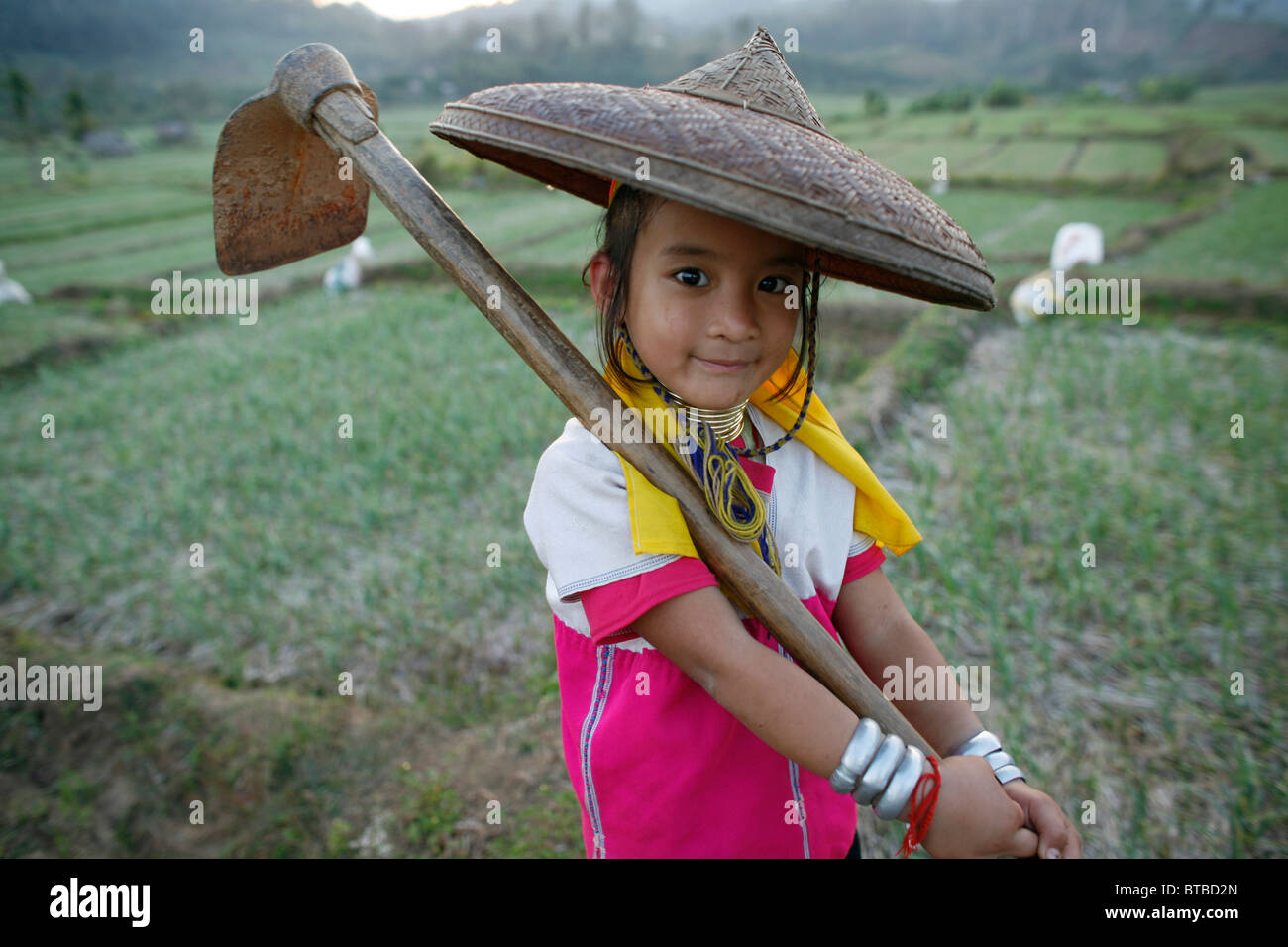 agriculture in Thailand Stock Photo