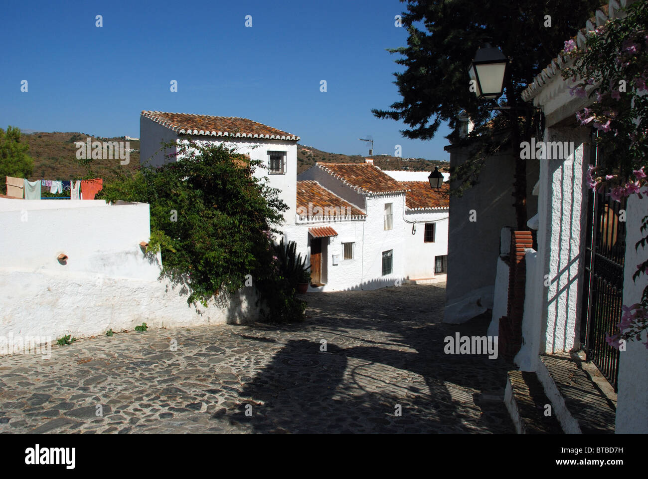 Townhouses, whitewashed village (pueblo blanco), Macharaviaya, Costa del Sol, Malaga Province, Andalucia, Spain, Europe. Stock Photo